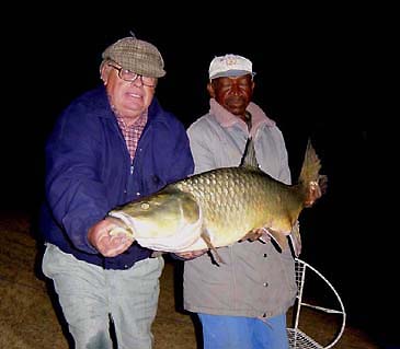 701_Largemouth Yellowfish_Labeobarbus kimberleyensis.jpg 701_Largemouth Yellowfish_Labeobarbus kimberleyensis.jpg
